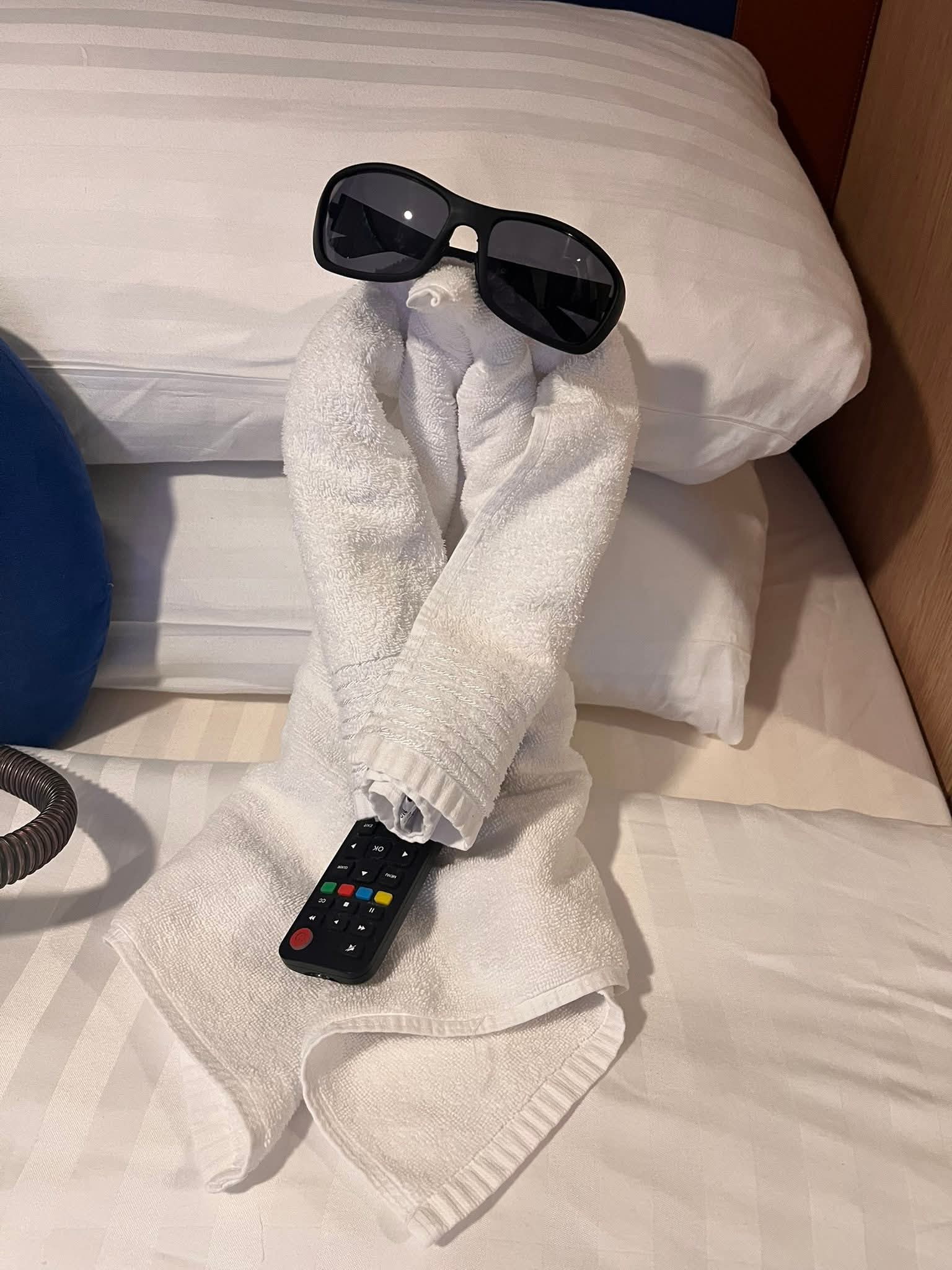 Past cruise memory